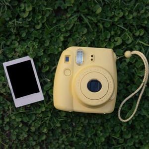 Meet your Posher, Jellybean